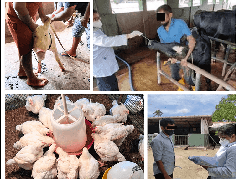 “One Health” approach the epidemiology of methicillin-resistant staphylococcus aureus isolated from humans, animals, and animal products in southern Sri Lanka- 2019